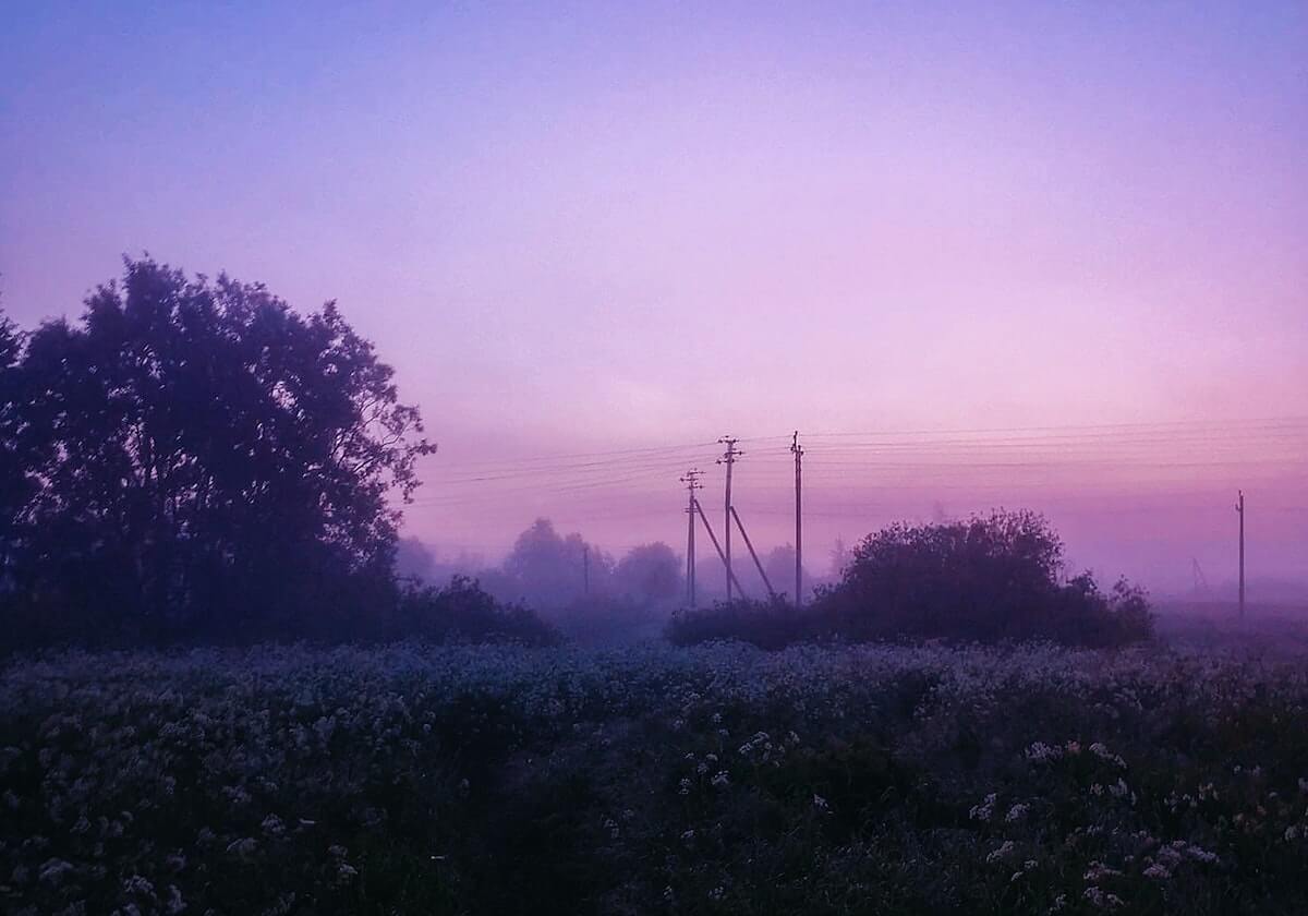 乐鱼官网:一站式娱乐与信息生态,开启全新生活方式